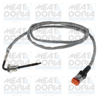 Sensor, exhaust gas temperature